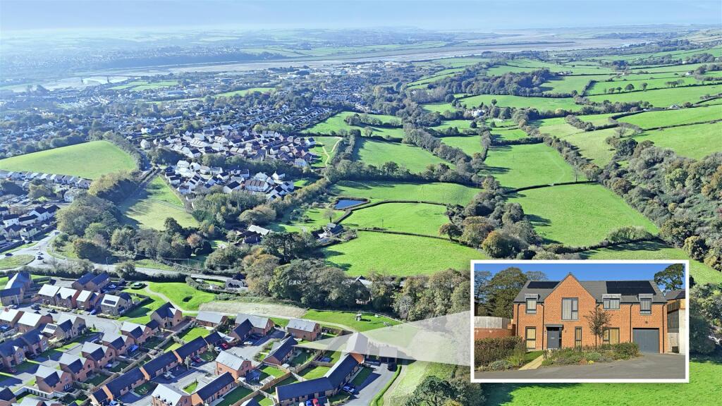 Trayne Thumbnail.jpg