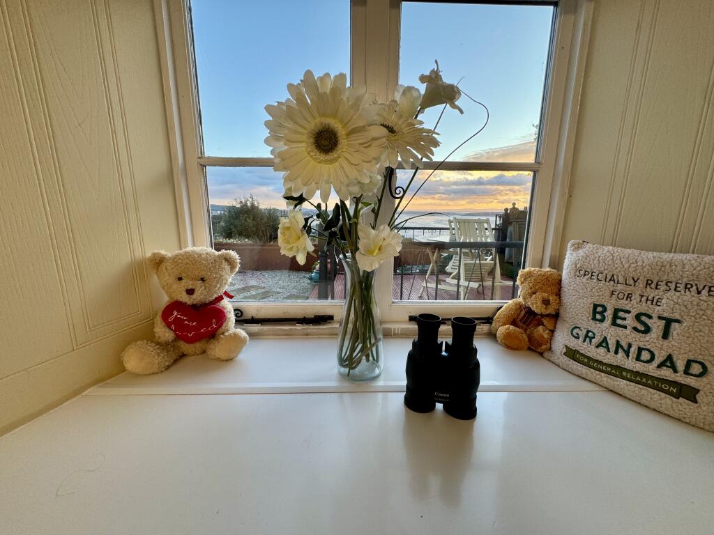 Bedroom View