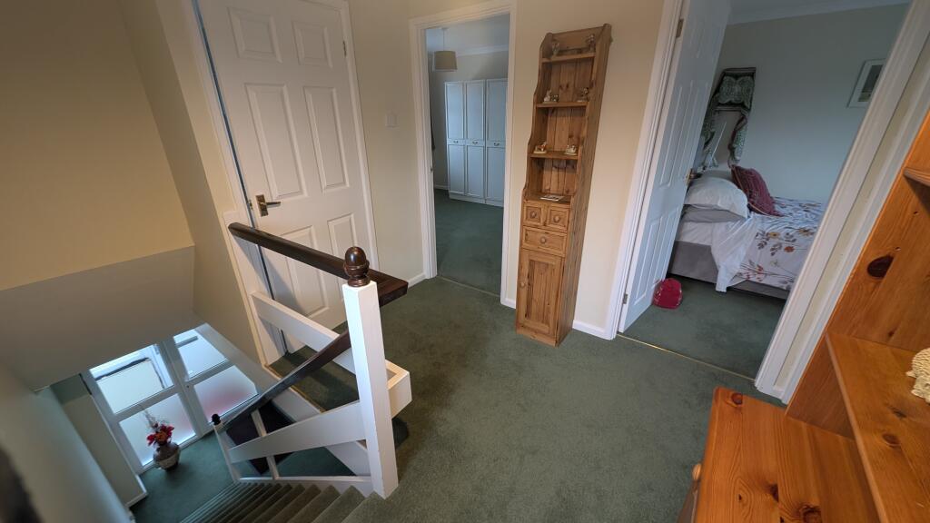 PXL_20251111_1121135