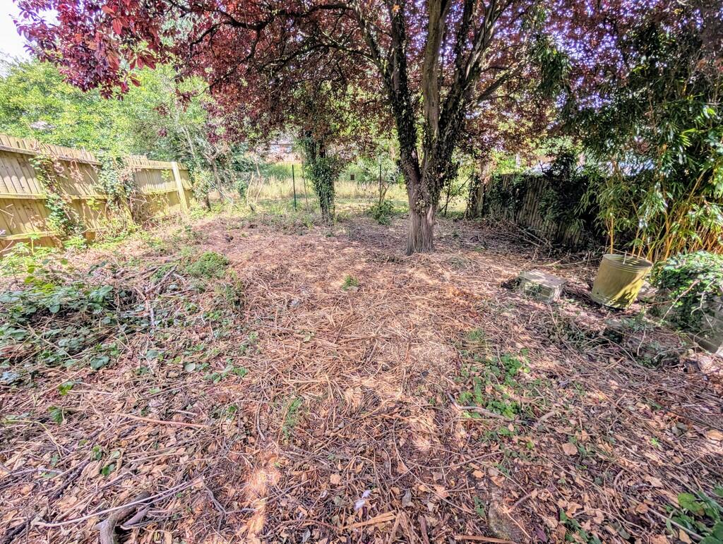 PXL_20250625_1107...