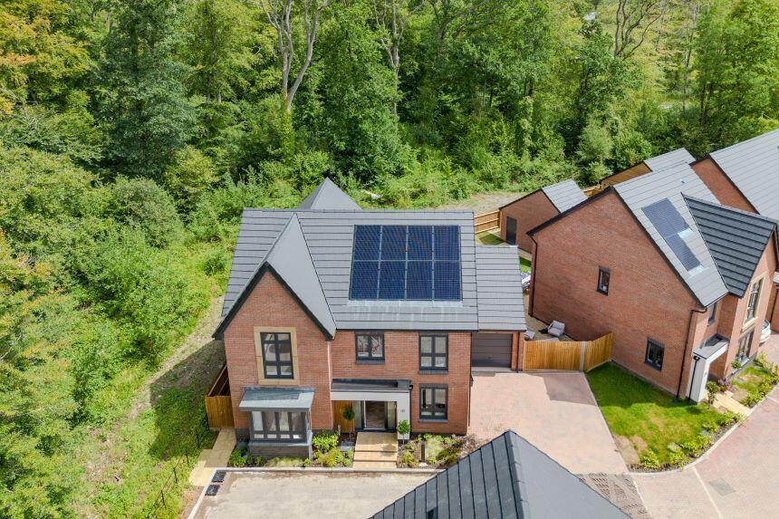 Woodlands P12 internals 18