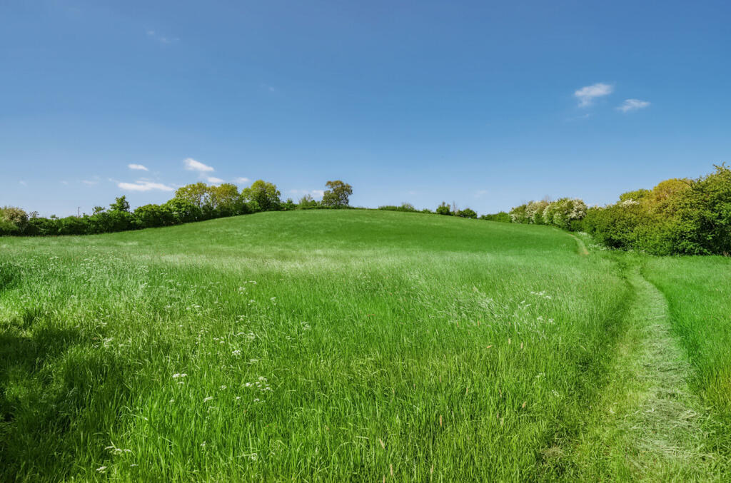 39-681a334657d2a-...