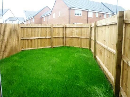 Humber Road, Stoke - Garden