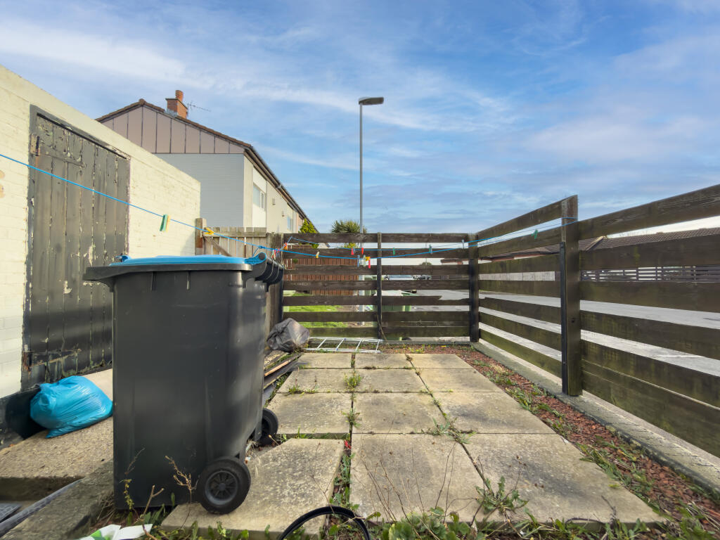 IMG 9231 T202512121045.jpg