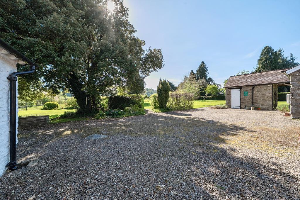 Photos