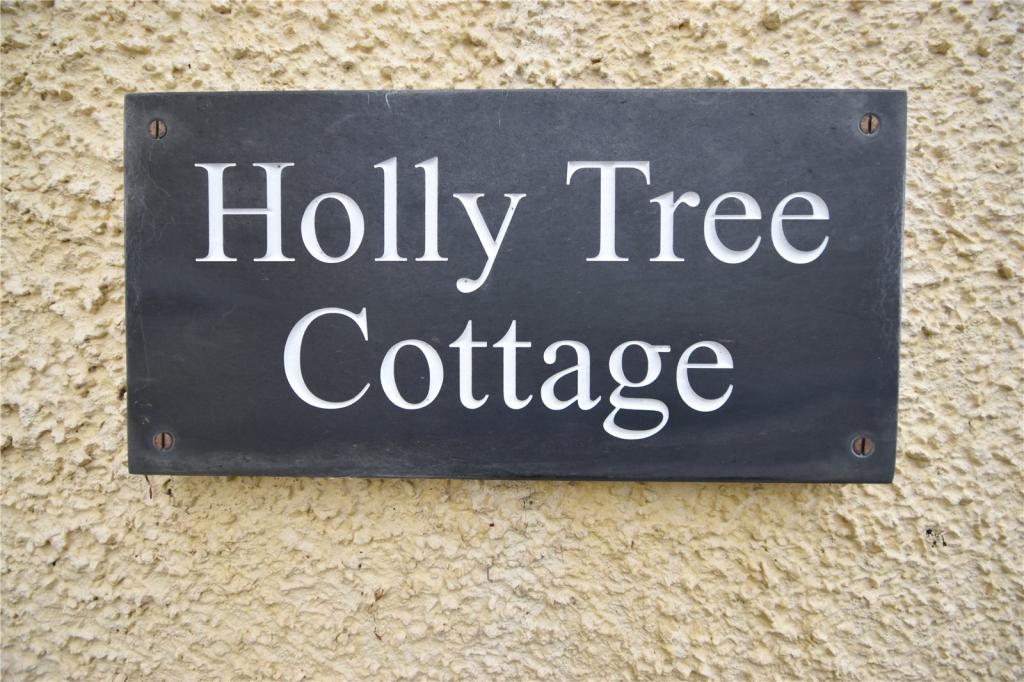 Holly Tree