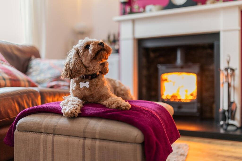 Call 02920 454555 to secure your viewing_4