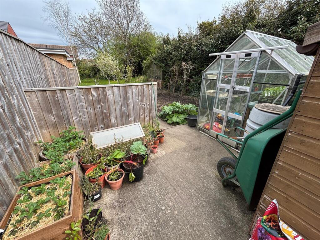 Allotment garden.jpg