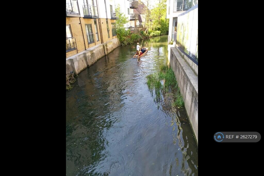 Punting In The River Stour