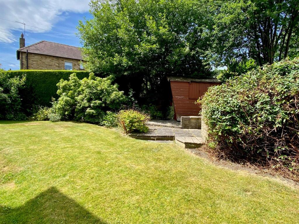 rear garden 1.jpg