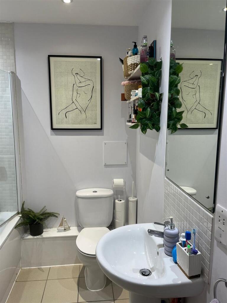 image3 (4).jpeg