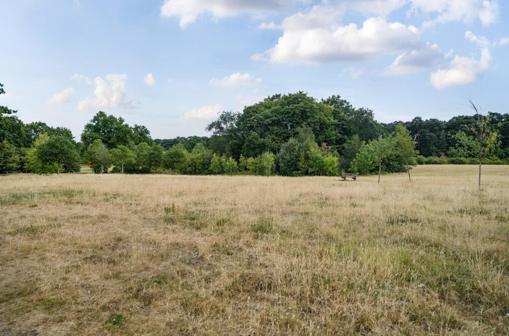 1320099-1-6866932...