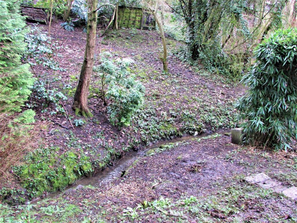 WarwickRd32gdn7.JPG