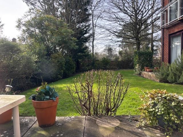 Garden from patio.jpg