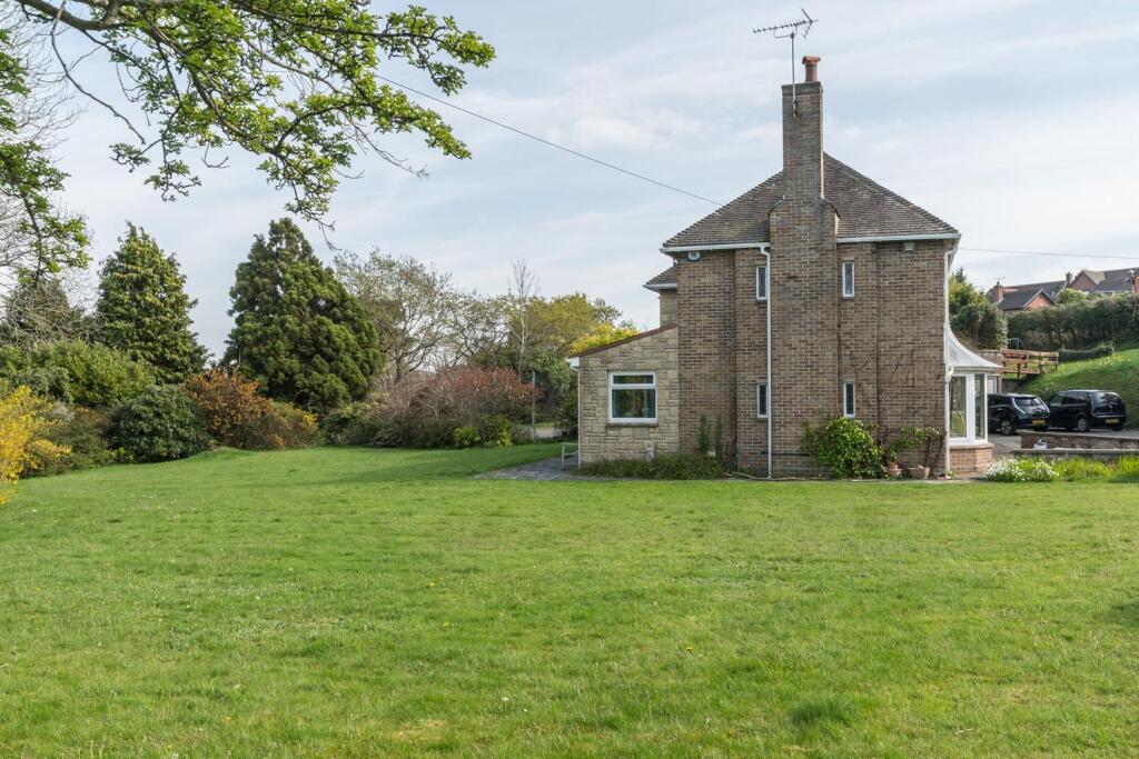 side of lemon orchard.jpg