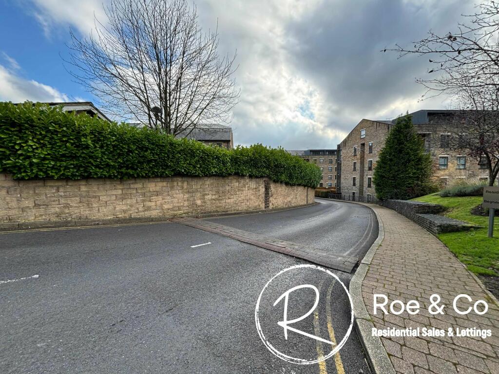 Road to the development