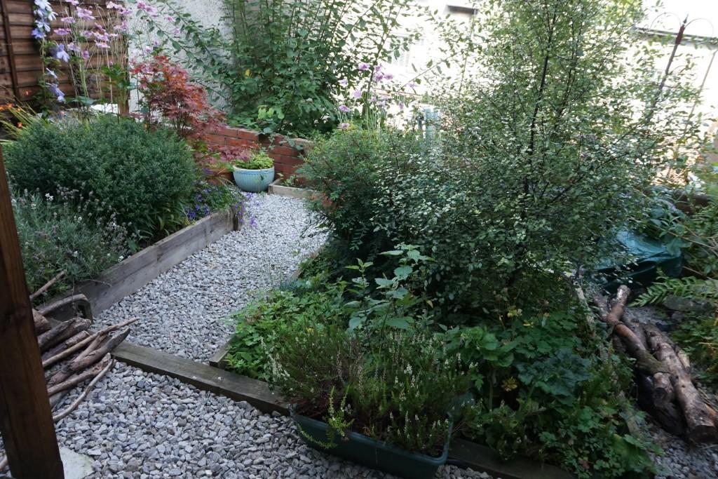 Shared Garden