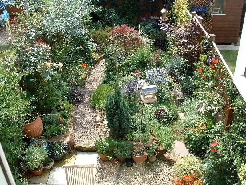 Summer Garden
