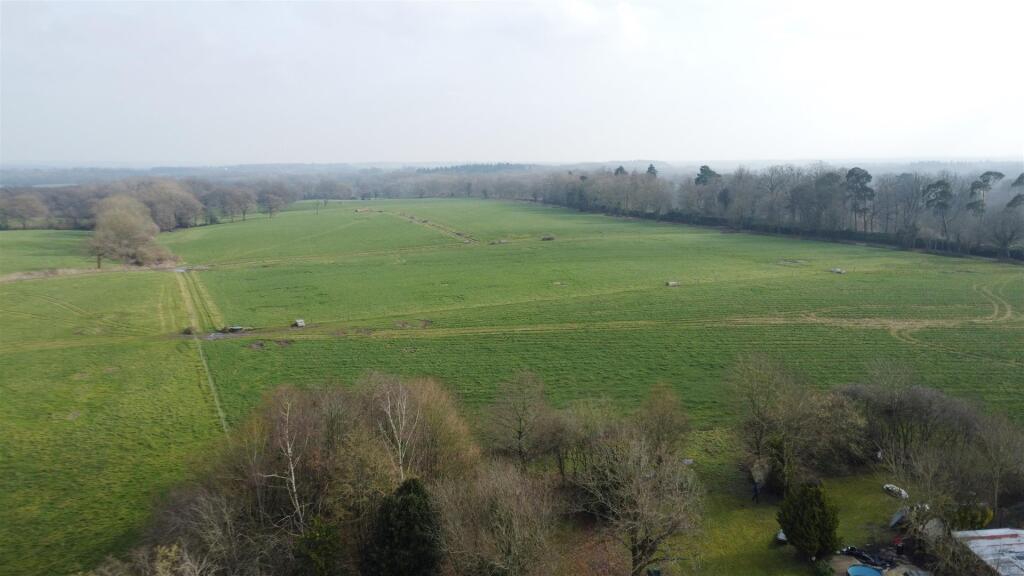 Field View 1.JPG