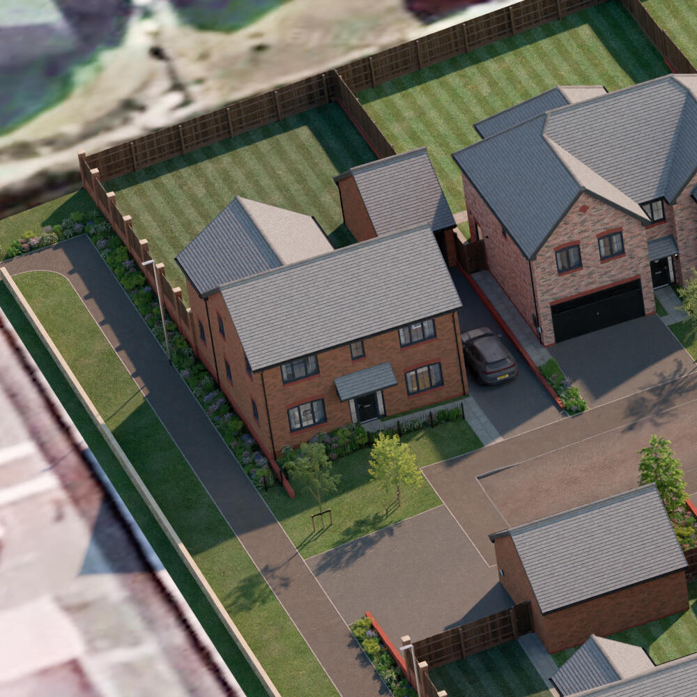 Plot Image