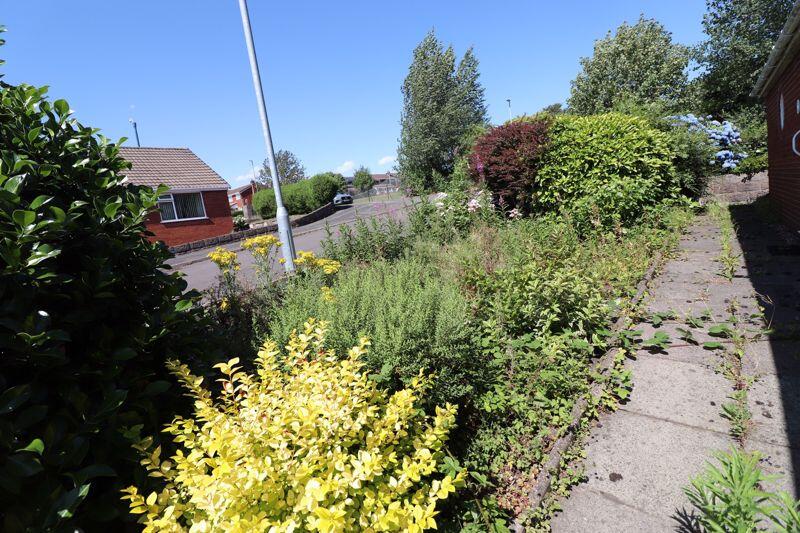 SIDE GARDEN