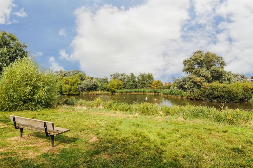 View of Local Pond