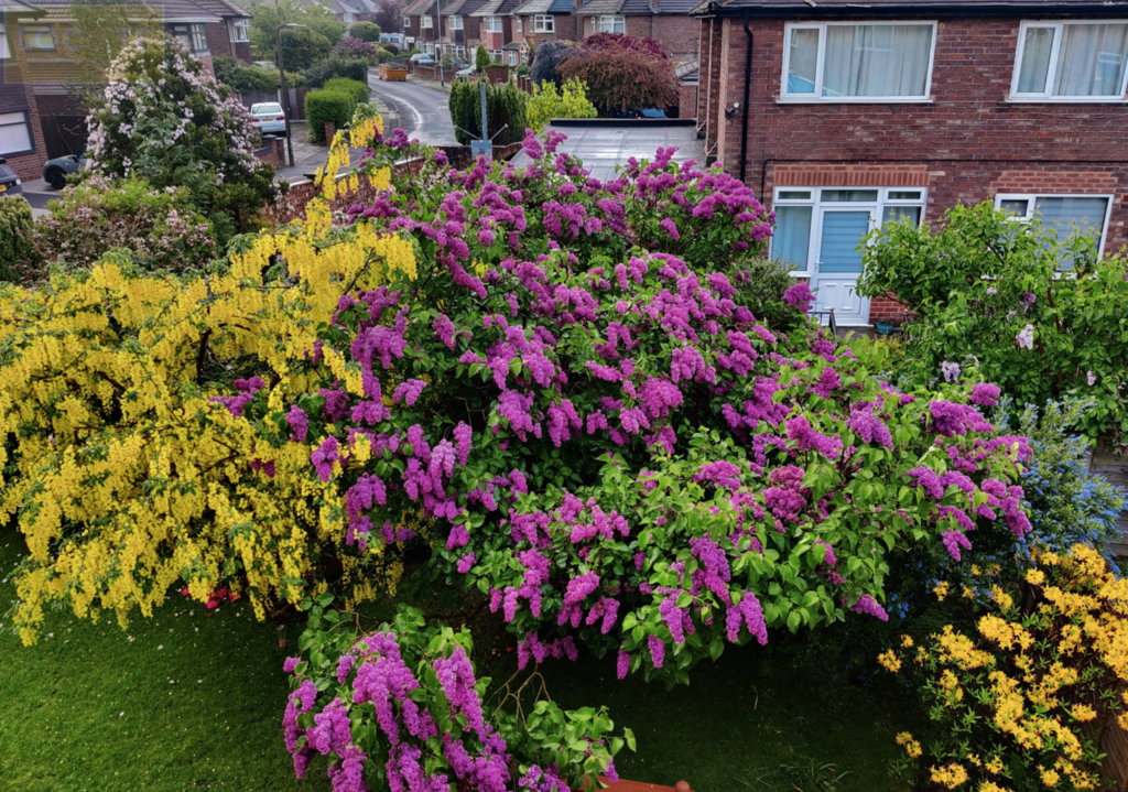 Screen Shot 2025-03-28 at 15.45.59