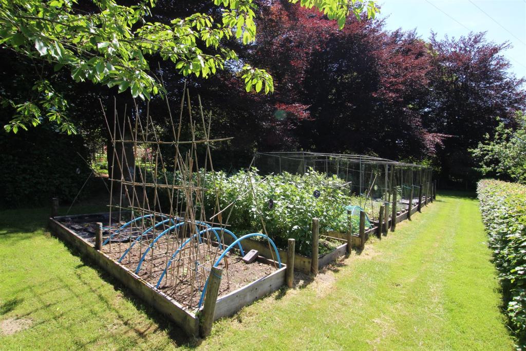 veg garden.JPG
