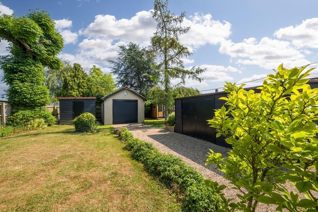 1440px Beech Tree...