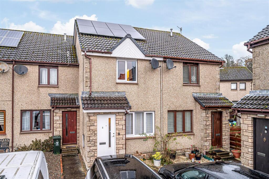 untitled (2 of 1).JPG