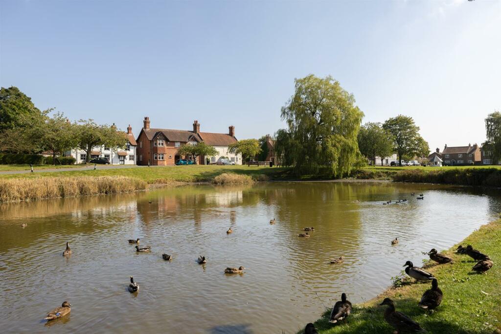 Village duck pond