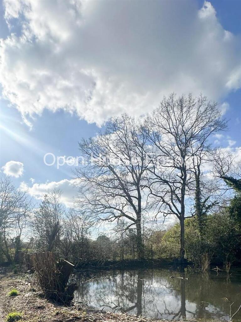 WhatsApp Image 2025-03-23 at 17.09.07.jpeg