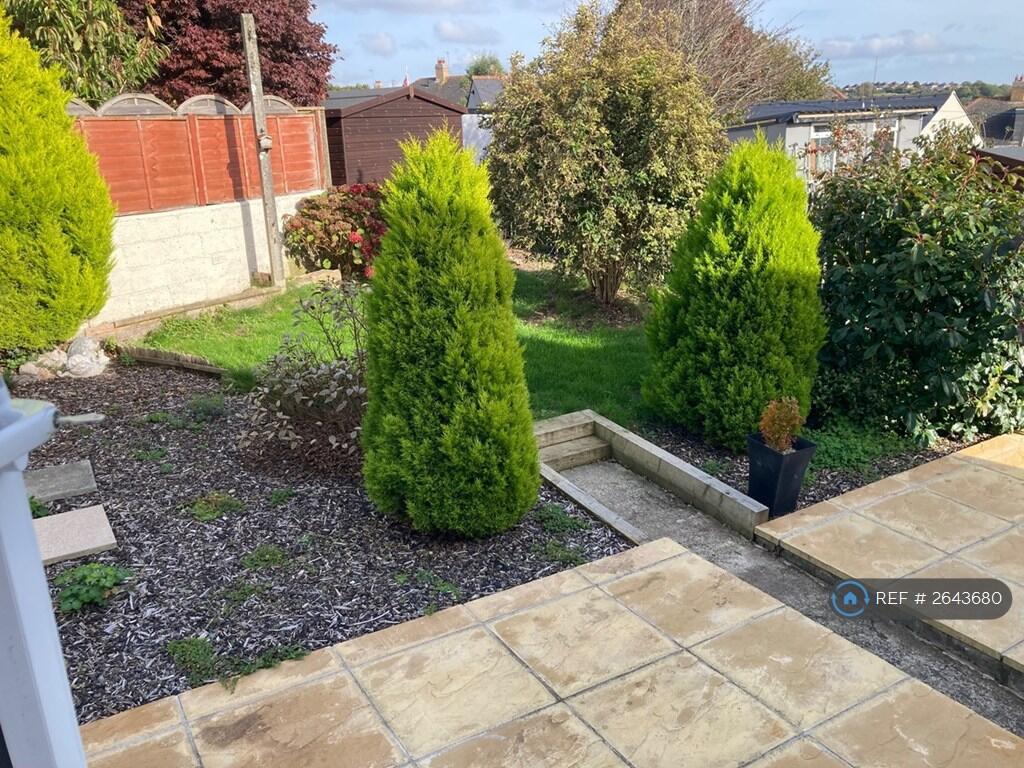 Back Garden