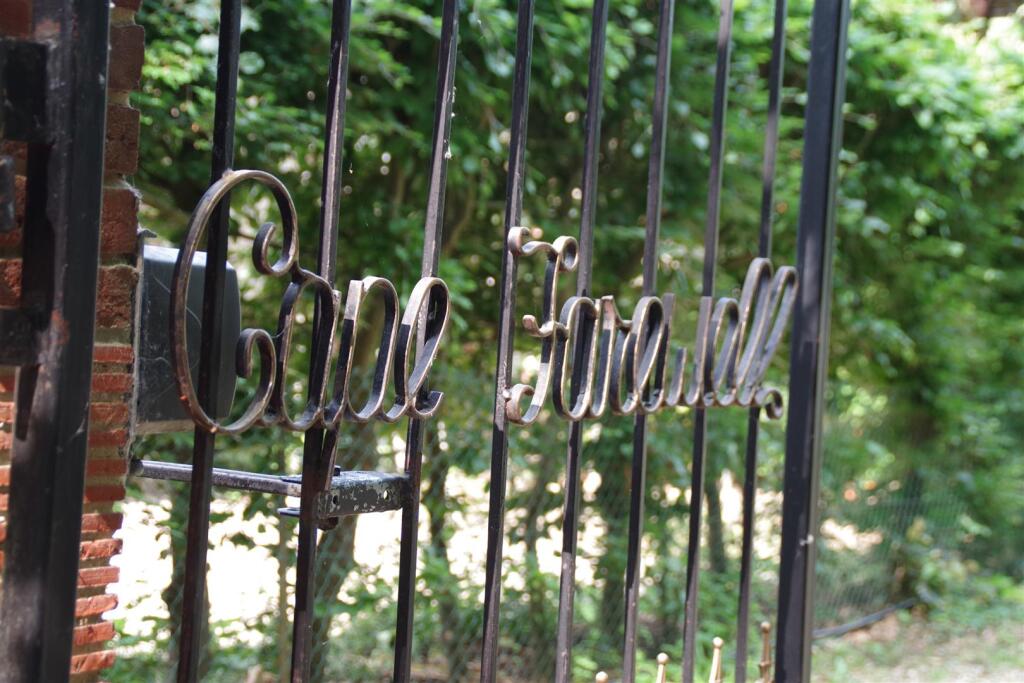 IMGP3770.JPG