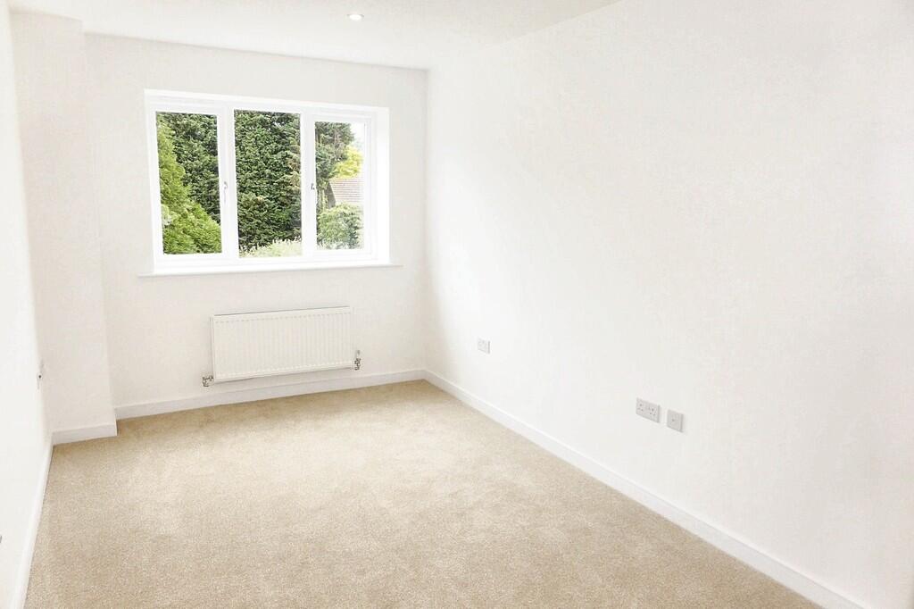 IMG_2553_6_origin...