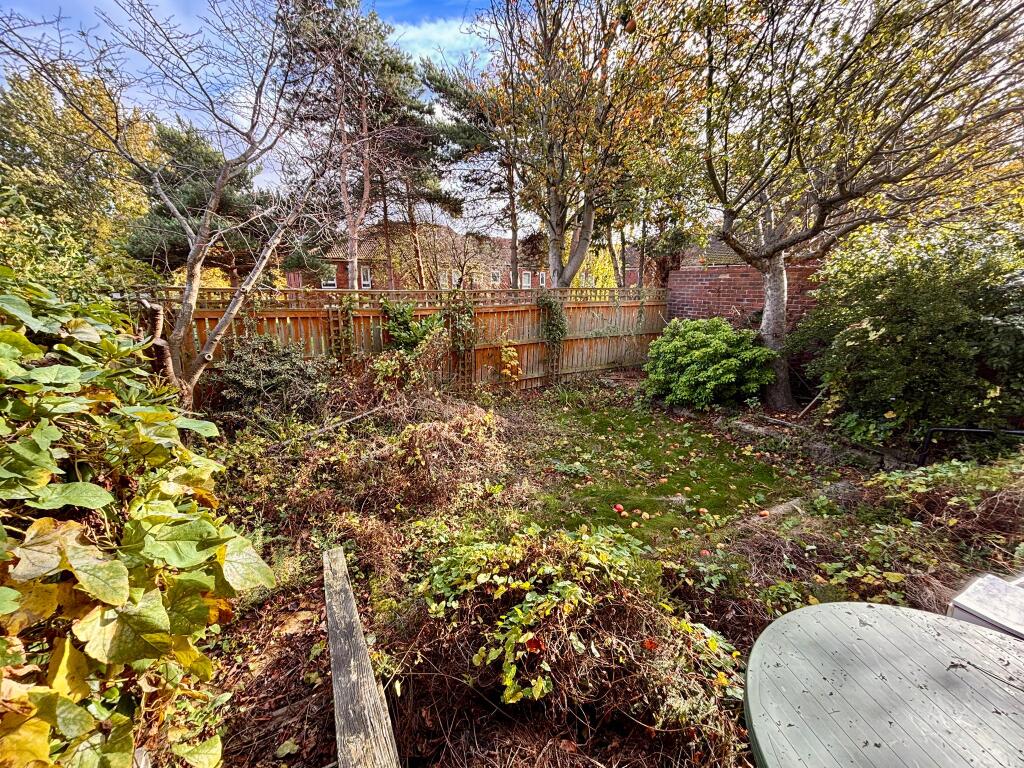 PHOTO-2025-10-29-12-45-07 T202511021547.jpg