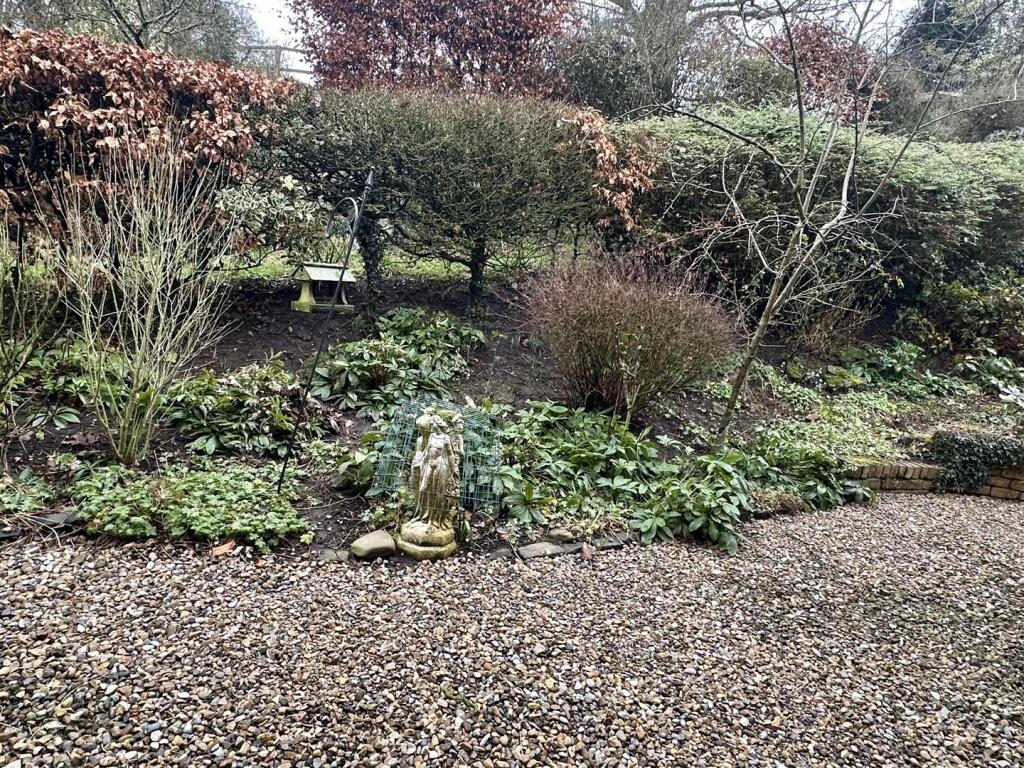 Luke Miller &amp; Associates