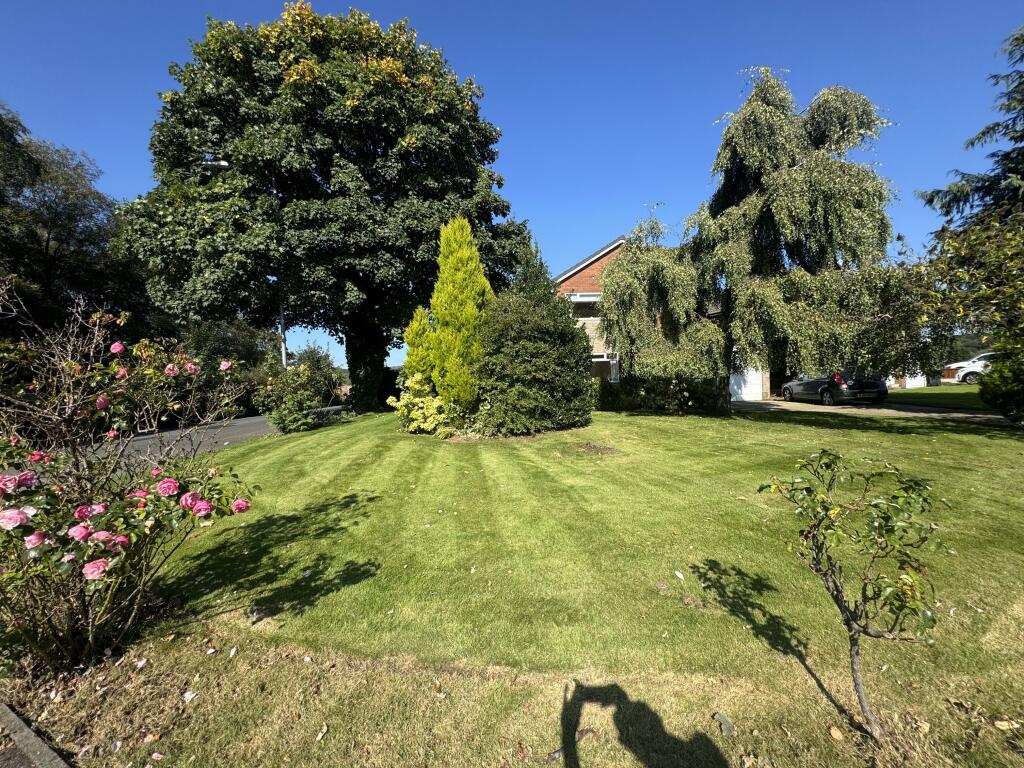 Photo 38