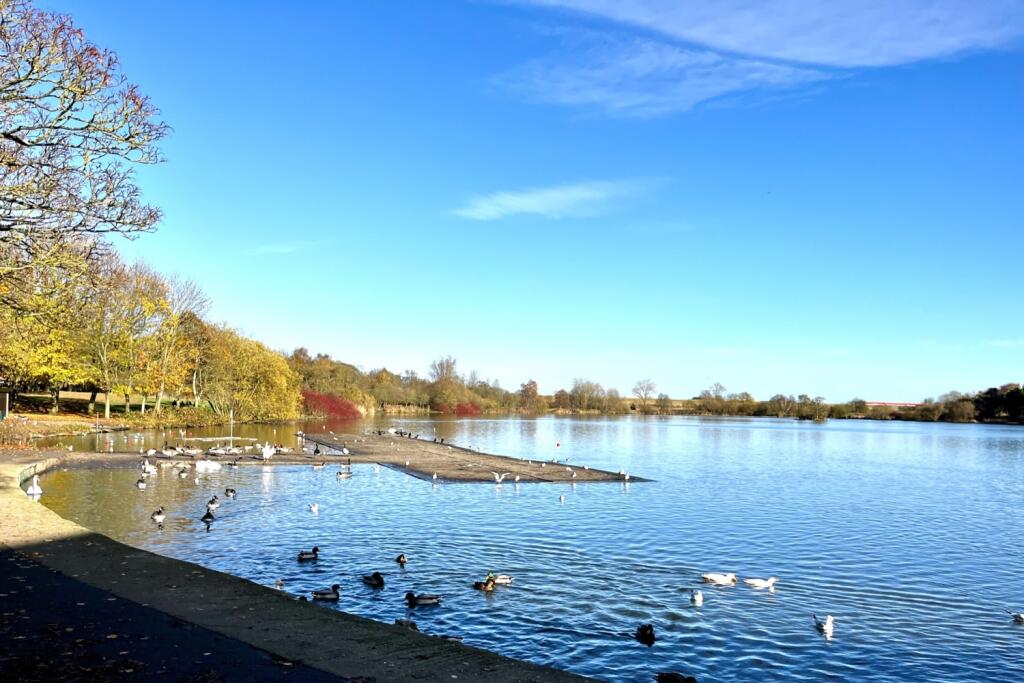 Yeadon Tarn 