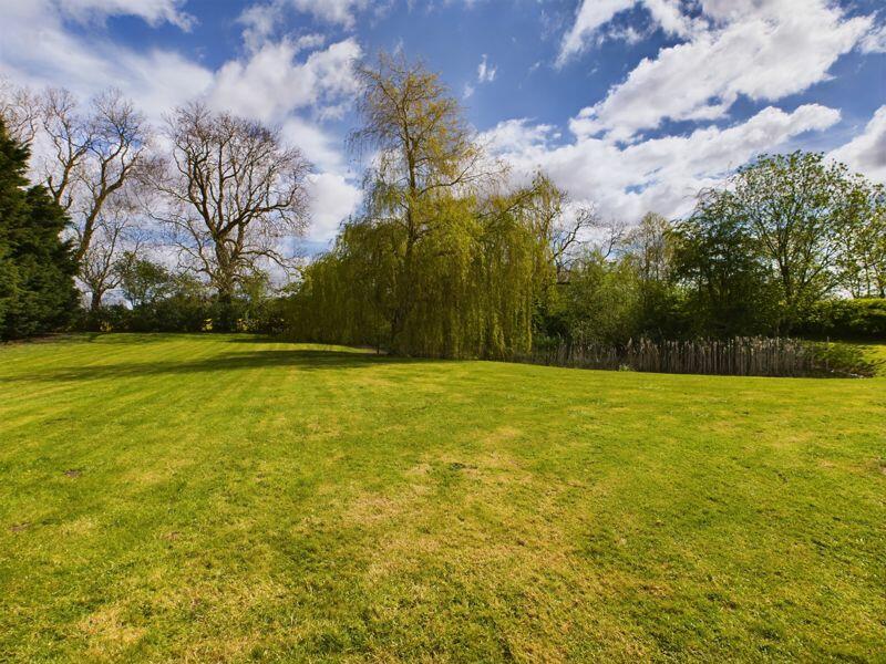 Lawn &amp; Pond