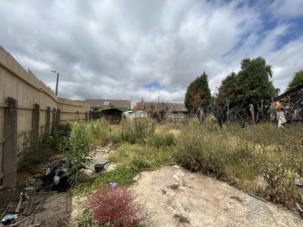 5  Medium  T202507021056.jpg