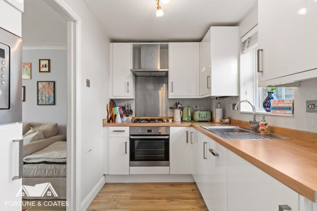 SheldonClose_8.jpg