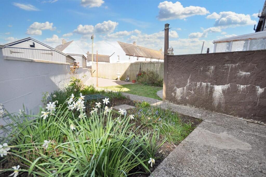 Back Garden