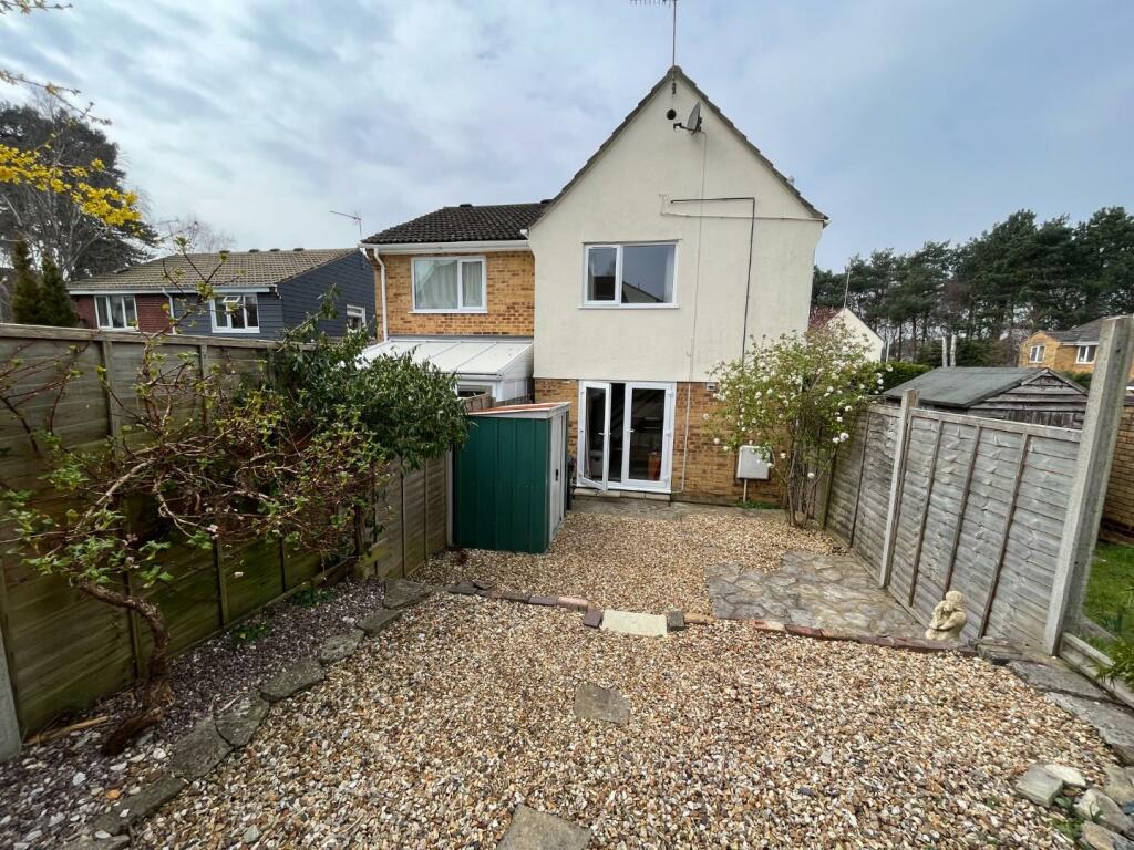 back garden.JPG