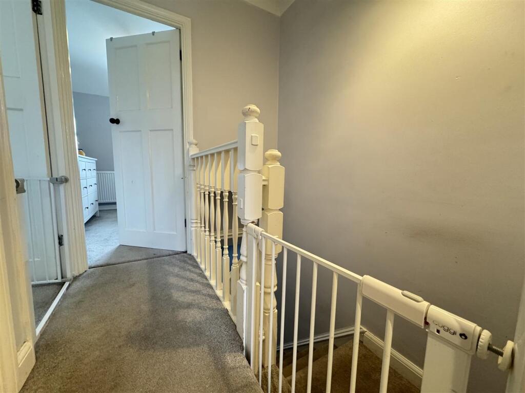 IMG_1514 (Large).JPG