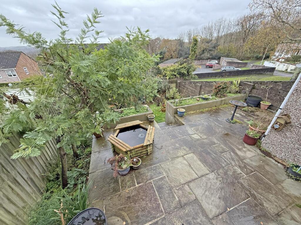 Pattinson Drive 48 - Garden.jpg