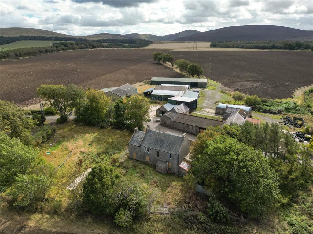 Lot 1