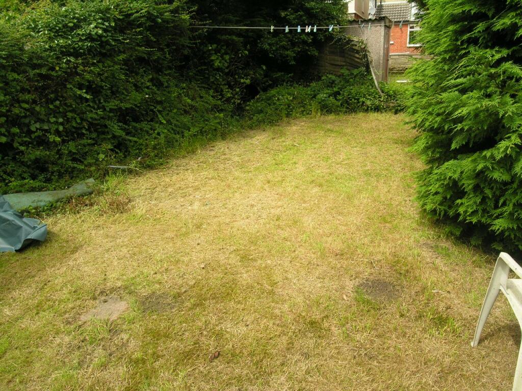 garden