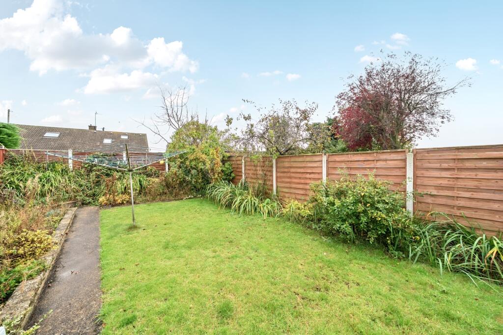 Back garden 3