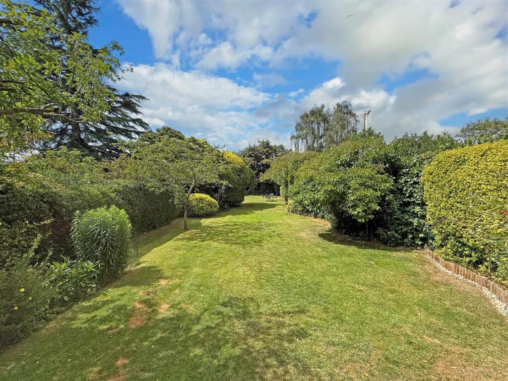 Garden 2.jpg